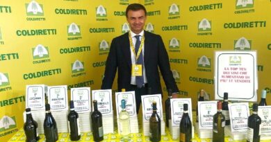 Vino, Coldiretti: +10% export bottiglie lombarde, ma SOS per allarmi in etichetta e costi alle stelle