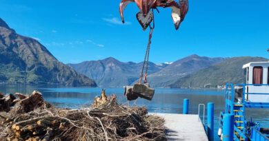 Lago d'Iseo: avviati i lavori per la valorizzazione del fondale del Sebino con l'impiego del materiale legnoso flottante