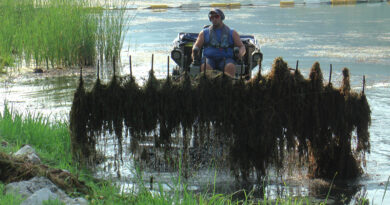 Lago di Endine: partita l'attività per la pulizia e lo sfalcio delle piante acquatiche a Endine