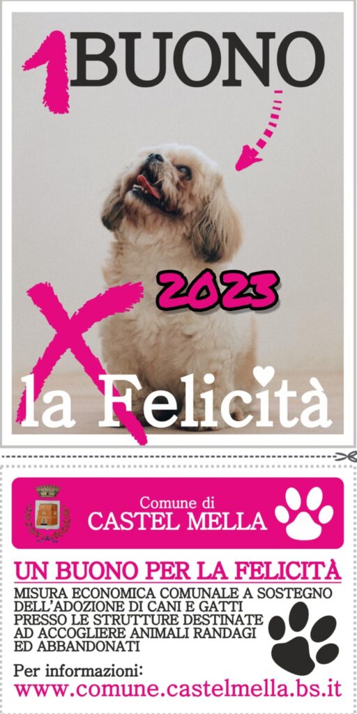 A Castel Mella ritorna il "Buono per la Felicità", un bonus per chi adotta cani e gatti abbandonati