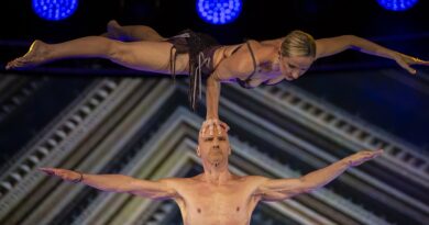Gran Gala ALIS – Christmas Tour 2023, a Montichiari i Top Performers di Le Cirque in uno show unico al mondo