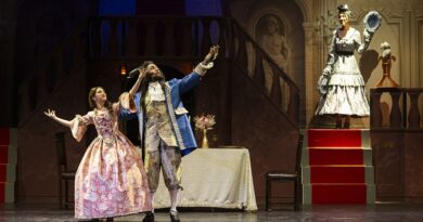 Il 17 dicembre 2023 arriva al Teatro Dis_Play di Brescia “La leggenda di Belle e la Bestia – Il musical”