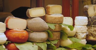 Latte, qualità e formaggi di eccellenza i punti di forza Laura Facchetti: “giusto prezzo e reddito delle imprese agricole le nostre priorità”