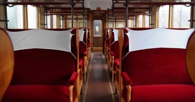 Trenord, il treno storico festeggia i 100 anni con otto corse verso i laghi Maggiore e di Como