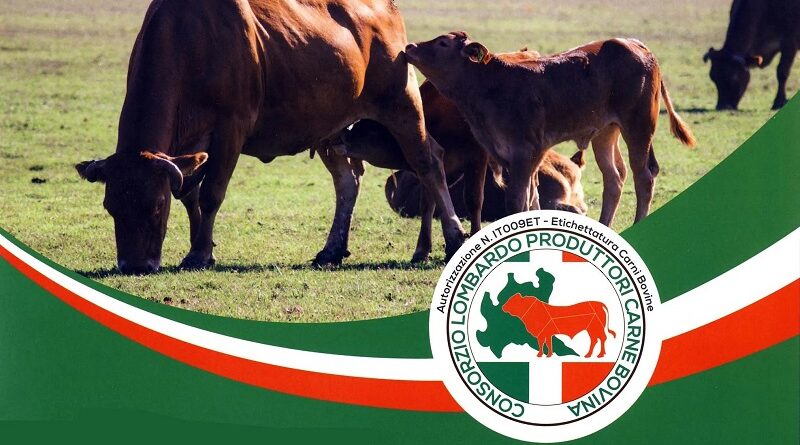 “Allevatori di buone pratiche”: nasce il progetto del Consorzio Lombardo Produttori Carne Bovina