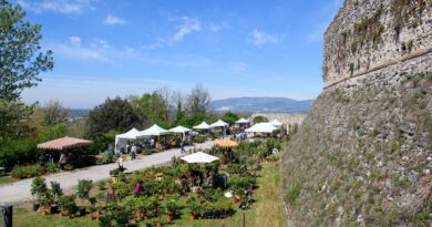 Fiori nella Rocca: dal 12 al 14 aprile la XVI edizione della raffinata mostra mercato fra arte, natura e storia